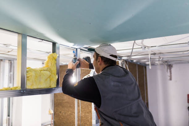 Best Spray Foam Insulation  in Cashion, OK