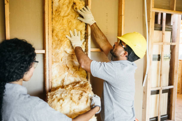 Insulation Repair Services in Cashion, OK